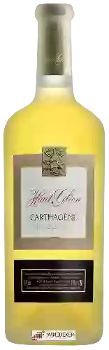 Château Haut Gleon - Carthagène Vin de Liqueur Blanc