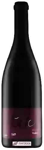Bodega Hörler - Valäris Pinot Noir