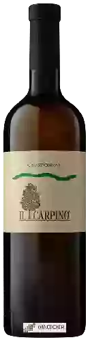 Bodega Il Carpino - Chardonnay