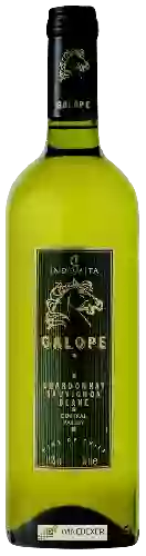 Bodega Indomita - Galope Chardonnay - Sauvignon Blanc
