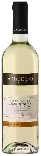 Bodega Angelo - Cataratto - Chardonnay