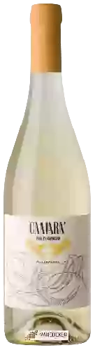 Bodega Mazzolino - Camarà Chardonnay