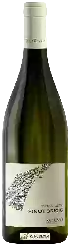 Bodega Roeno - Tera Alta Pinot Grigio