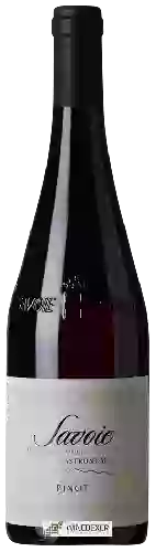 Bodega Jean Perrier - Cuvée Gastronomie Pinot Noir