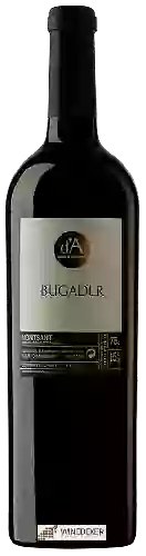 Bodega Joan d'Anguera - Bugader