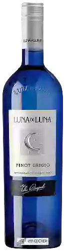 Bodega Luna di Luna - Pinot Grigio
