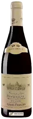 Bodega Lupé-Cholet - Comte de Lupé  Bourgogne Pinot Noir