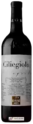 Bodega Lvnae - Ciliegiolo