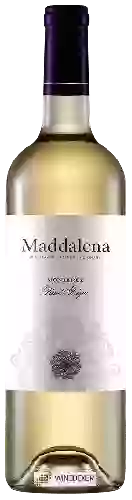 Bodega Maddalena Vineyards - Pinot Grigio