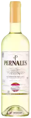 Bodega Málaga Virgen - Pernales Chardonnay