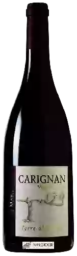 Bodega Mas de Lavail - Terre d'Ardoise Vieilles Vignes Carignan Rouge