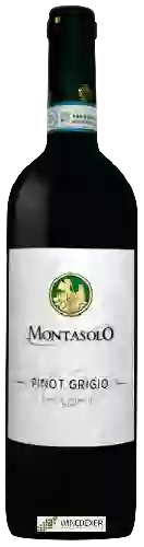Bodega Montasolo - Pinot Grigio
