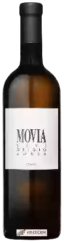 Bodega Movia - Sivi Ambra Grigio