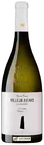 Bodega Murviedro - Vallejo Avenas Chardonnay