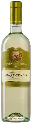 Bodega Natale Verga - Pinot Grigio Veneto