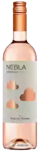 Bodega Nebla - Verdejo Rosé