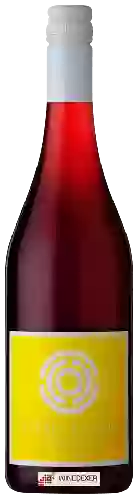 Bodega Ochota Barrels - Texture like Sun Sector Red