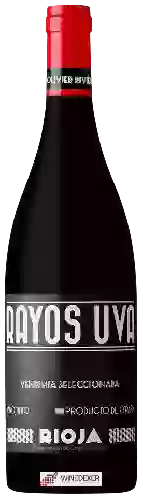 Bodega Olivier Rivière - Rioja Rayos Uva