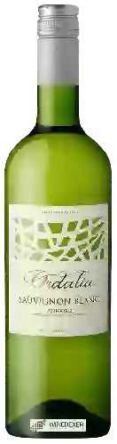 Bodega Ordalia - Sauvignon Blanc