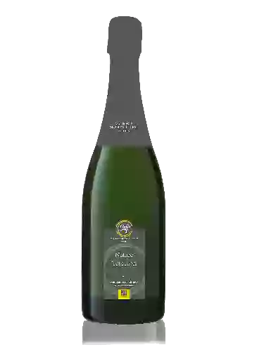 Bodega Paul Chollet - Crémant de Bourgogne Blanc de Noir Brut
