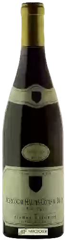 Bodega Pierre Naigeon - Vieilles Vignes Bourgogne Hautes-Côtes de Nuits Petite Vigne