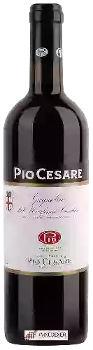 Bodega Pio Cesare - Grignolino del Monferrato Casalese