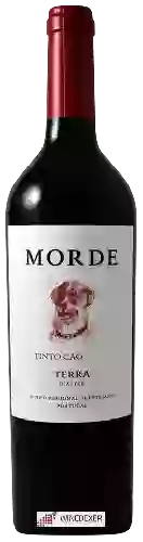 Bodega Terra d'Alter - Morde Tinto Cão Alentejano