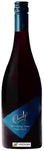 Bodega Quealy - Seventeen Rows Pinot Noir