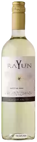 Bodega Rayun - Sauvignon Blanc