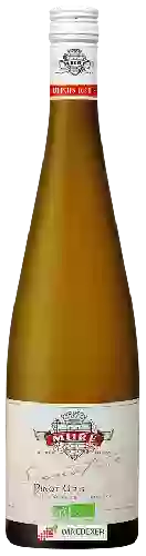 Bodega René Muré - Signature Pinot Gris