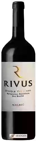 Bodega Rivus - Single Vineyard Malbec