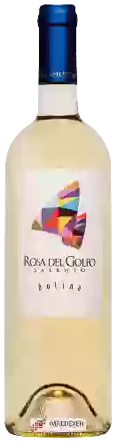 Bodega Cantina Rosa del Golfo - Bolina