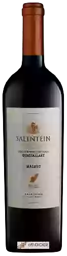 Bodega Salentein - Los Cerezos Single Vineyard Malbec