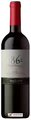 Bodega San Pedro - 1865 Selected Vineyards Valle de Uco Malbec