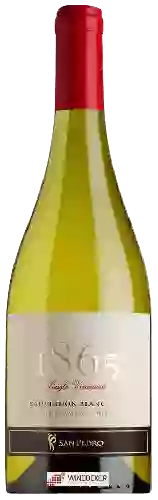 Bodega San Pedro - 1865 Single Vineyard Sauvignon Blanc