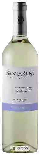 Bodega Santa Alba - Pinot Grigio