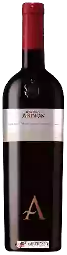 Bodega Señorío de Andión - Tinto