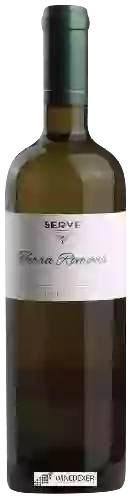 Bodega Serve - Terra Romana Milenium White