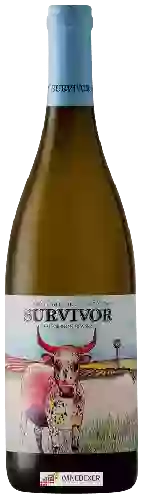 Bodega Survivor - Sauvignon Blanc