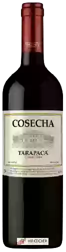 Bodega Tarapacá - Cosecha Carmen&egravere