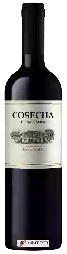 Bodega Tarapacá - Cosecha Pinot Noir
