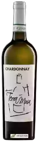Bodega Terra Musa - Chardonnay