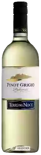 Bodega Terre del Noce - Pinot Grigio Dolomiti