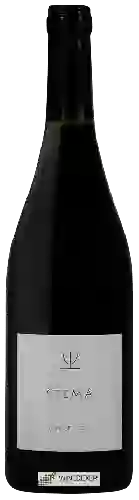 Bodega Terre Gaie - Stema Pinot Noir
