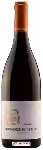 Domaine des Terres de Velle - Bourgogne Pinot Noir