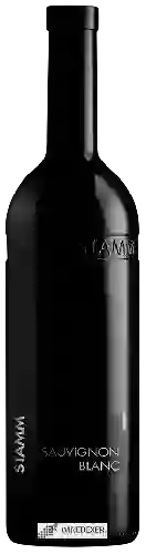 Bodega Stamm - Sauvignon Blanc