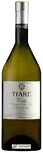 Bodega Tiare - Collio Pinot Grigio