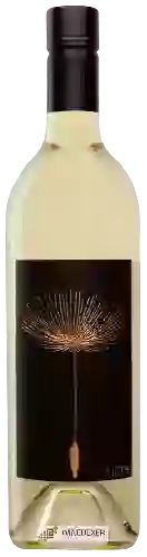 Bodega Driscoll Wine Co. - Tilth Sauvignon Blanc