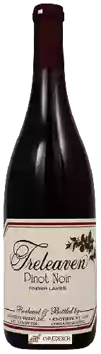 Bodega Treleaven - Pinot Noir