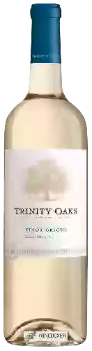 Bodega Trinity Oaks - Pinot Grigio